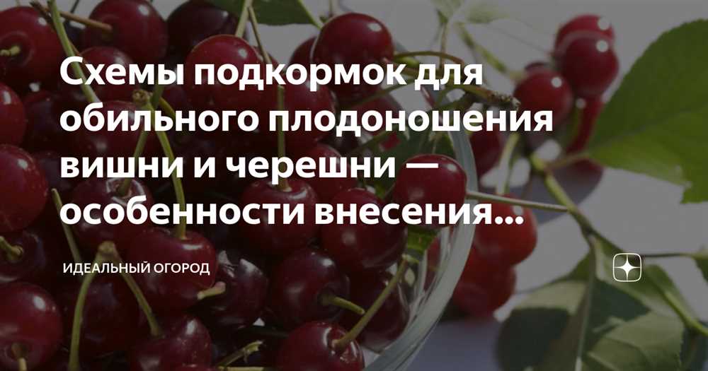 Правила применения удобрений