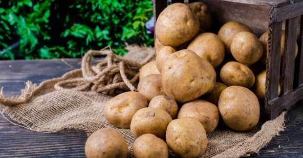 Как хранить картошку в холодильнике