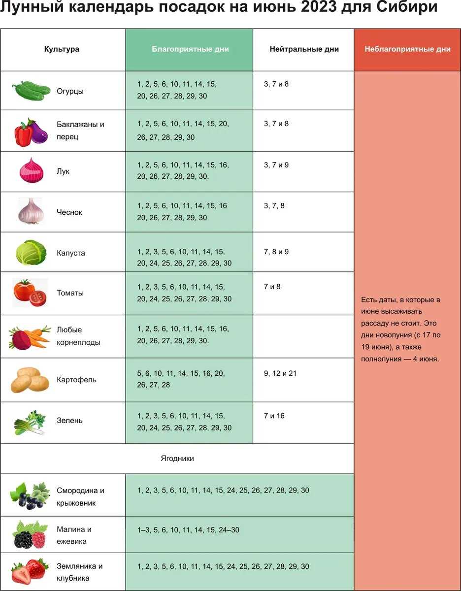Календарь рассады на 2023 год в Сибири. Таблица высадки семян на рассаду. График посадки овощей на рассаду. Календарь для высадки рассады на 2023г. Сроки высадки томатов