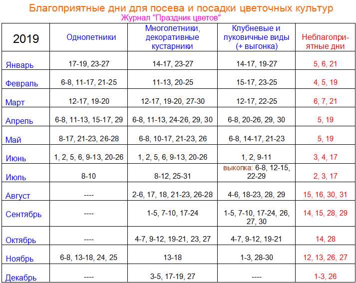 Растения, которые лучше сажать в первые дни после новолуния