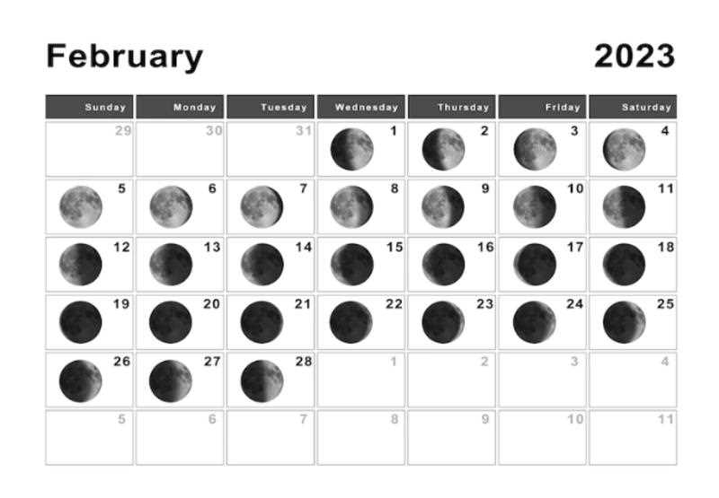 Важность Лунного календаря для садовода и огородника