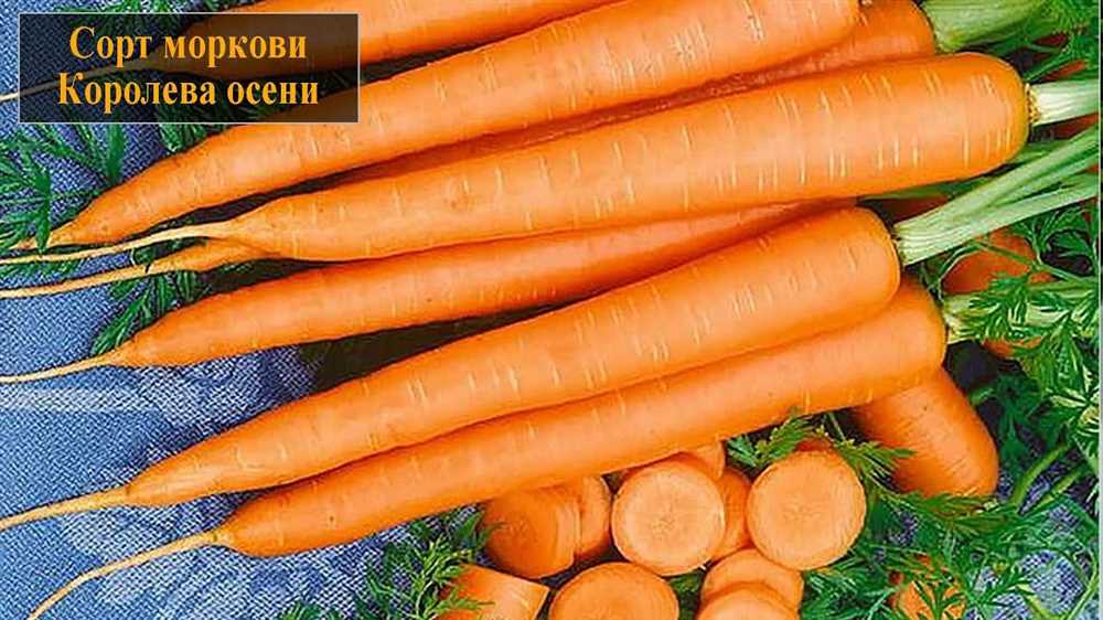 2. Морковь с упрощенным уходом