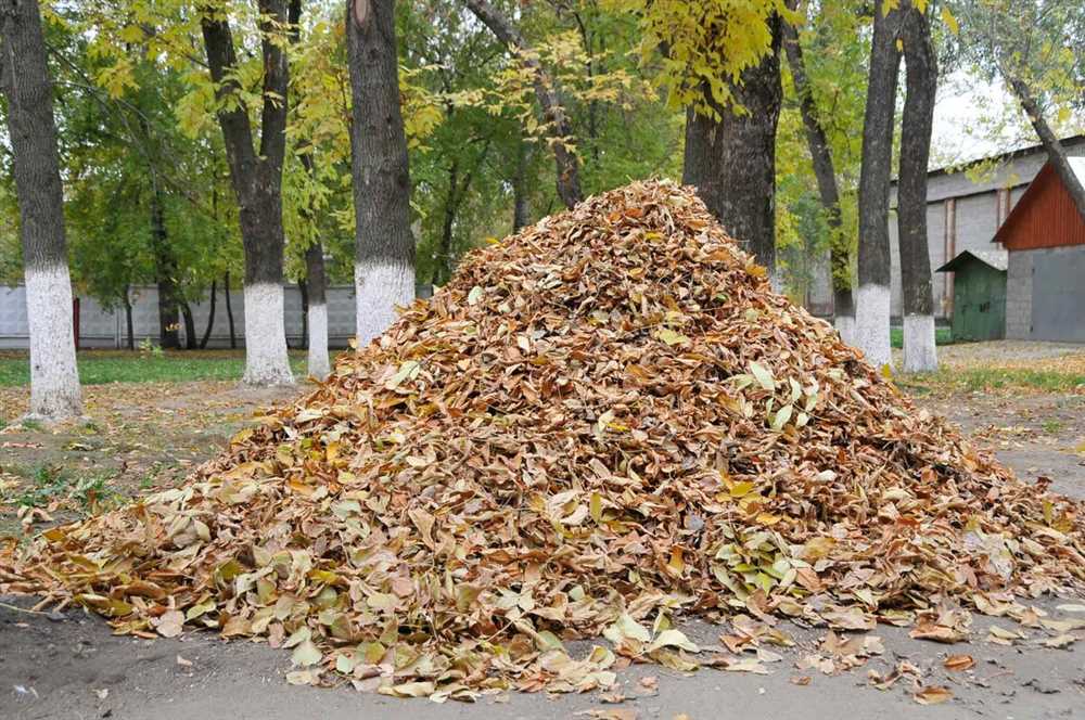 Аргументы за уборку листвы осенью на даче