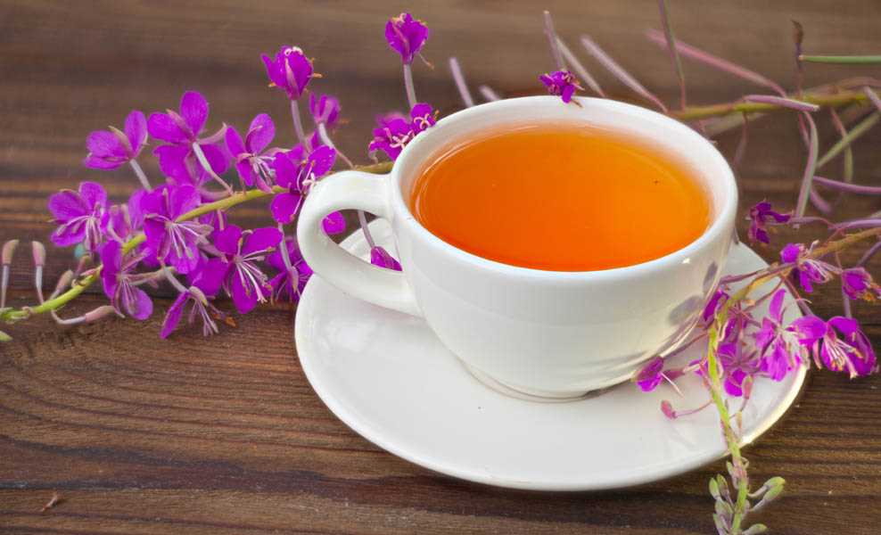 Вред Иван-чая и возможные побочные эффекты