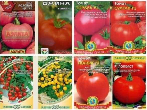 Советы по выбору семян томатов для открытого и закрытого грунта