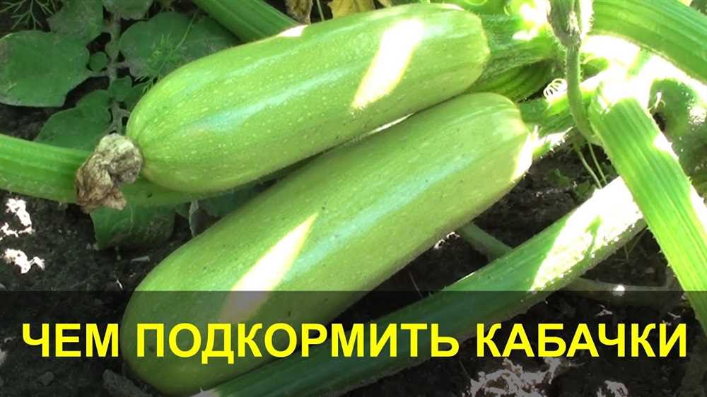 Контроль за сорняками и вредителями кабачков