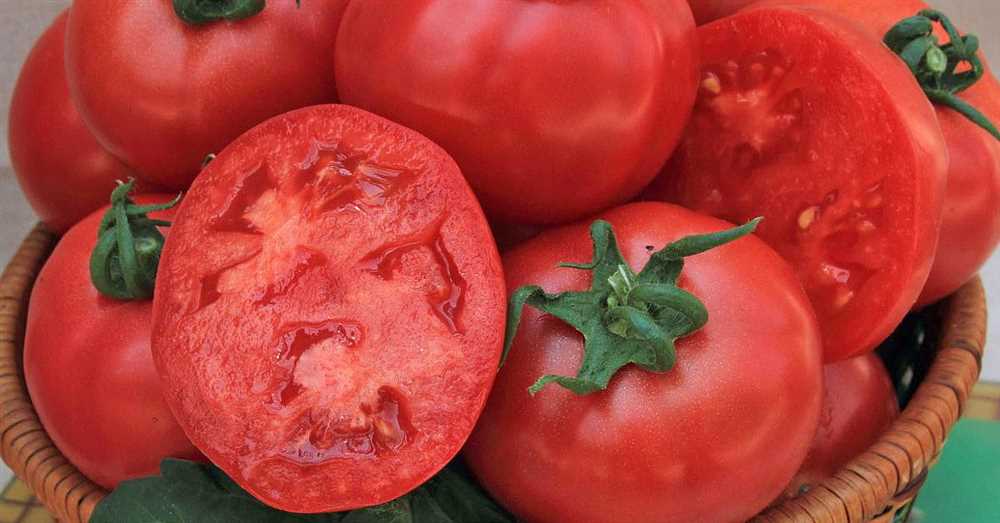 Как вырастить томаты Катя на своем участке