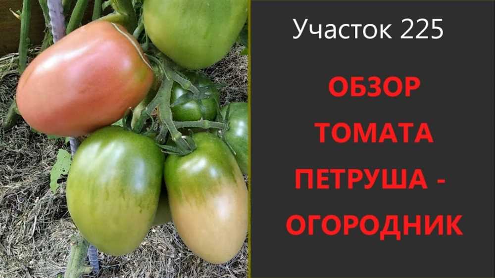 Выберите подходящее место для посадки