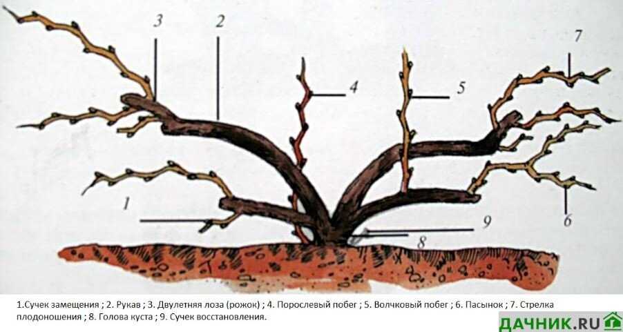 1. Удаление проводника