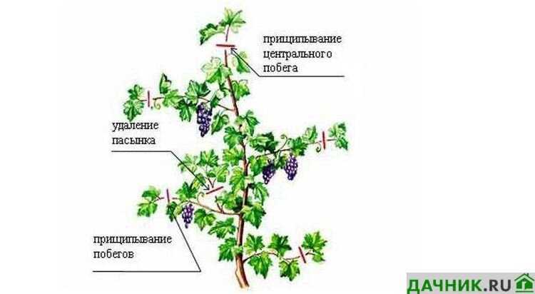 Повышение урожайности