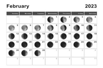 lunnij kalendar na fevral 2023 goda sadovoda i ogorodnika jcgd6csg