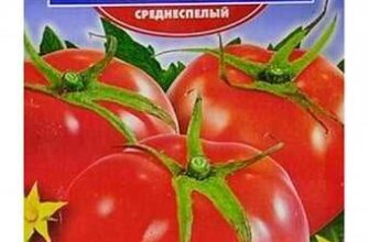 tomat demidov opisanie sorta i otzivi sadovodov rdim7k8o