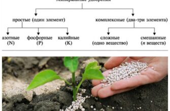 chem podkormit rasteniya prostimi ili slozhnimi udo k82kiodc