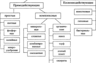 chto nuzhno znat ob azotnix udobreniyax kogda kakie h5wfdwse