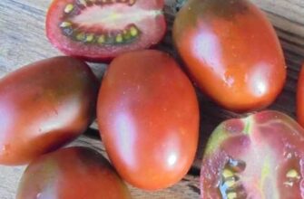 populyarnejshie 7 sortov tomatov dlya teplitsi m8mqh0zx
