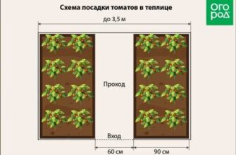 posadka visokoroslix tomatov v otkritij grunt po mrxss07b