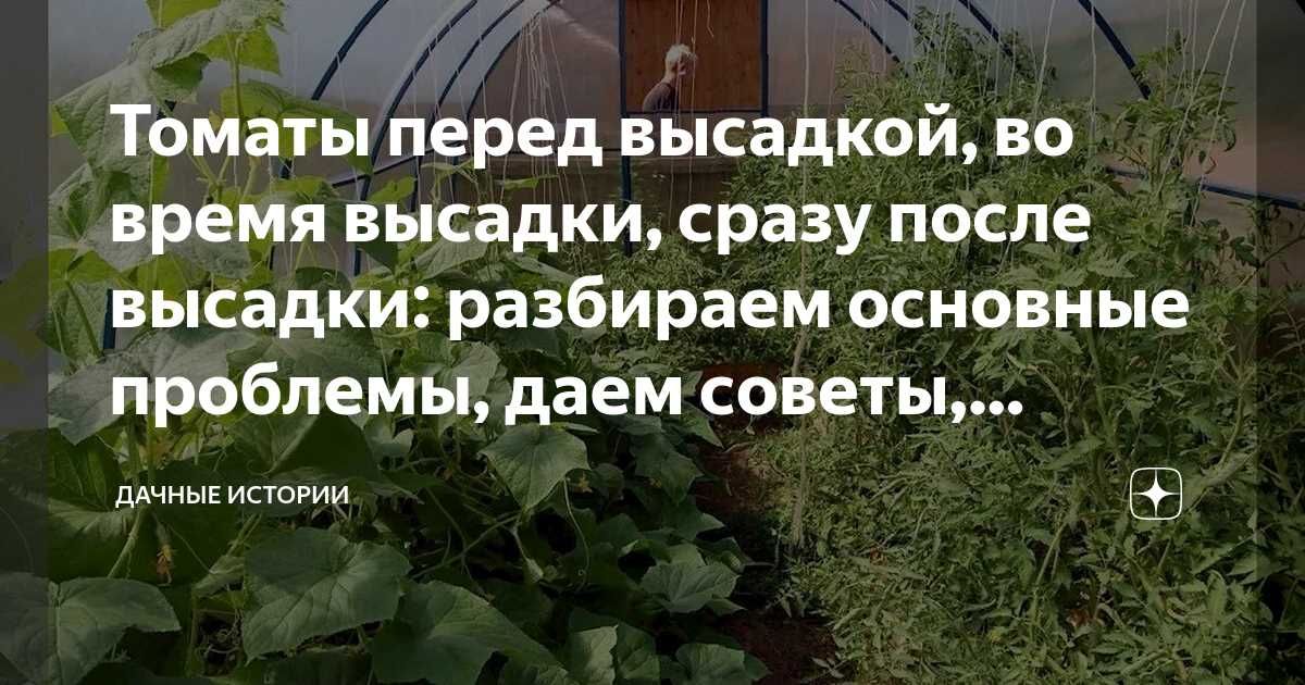 Выбор устойчивых сортов