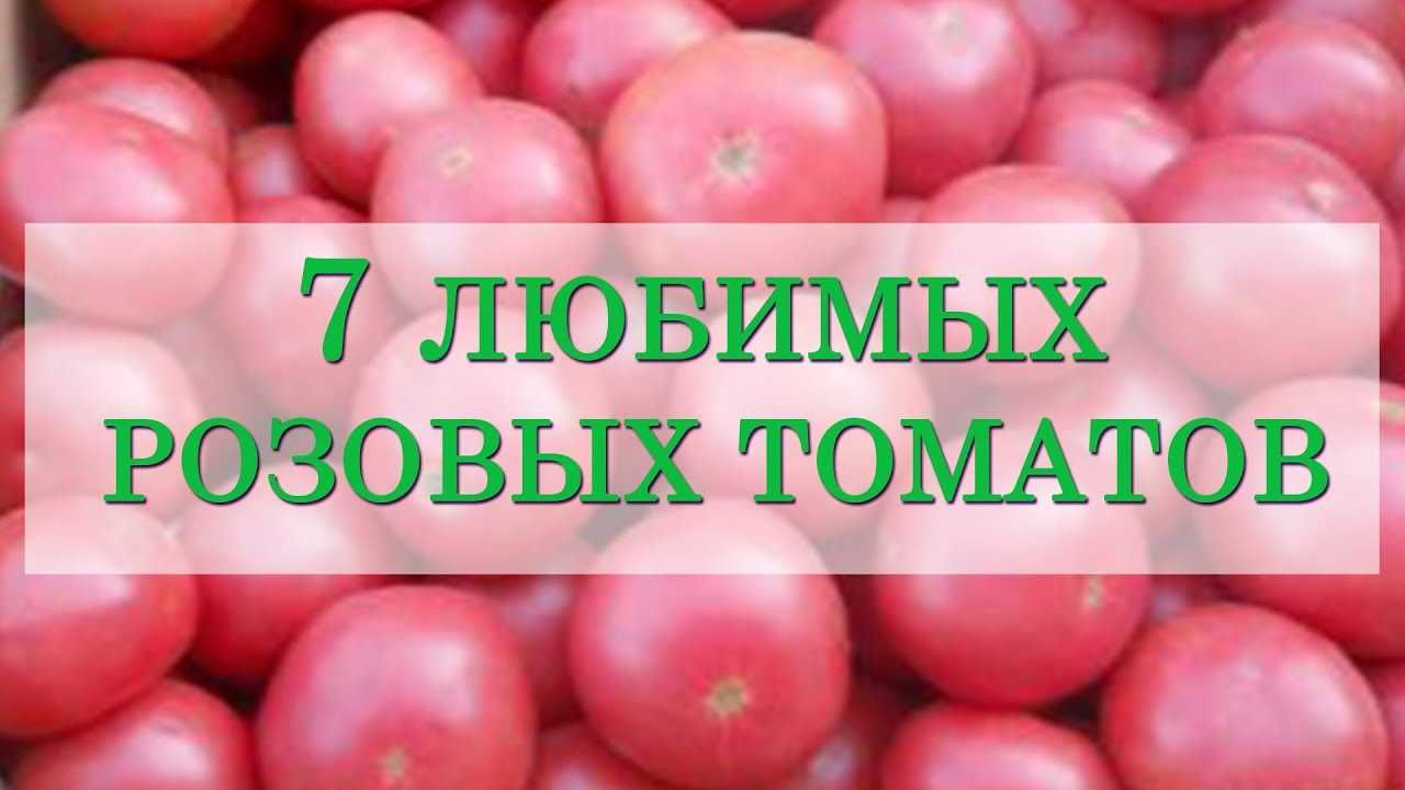 Преимущества выращивания розовых томатов на балконе: