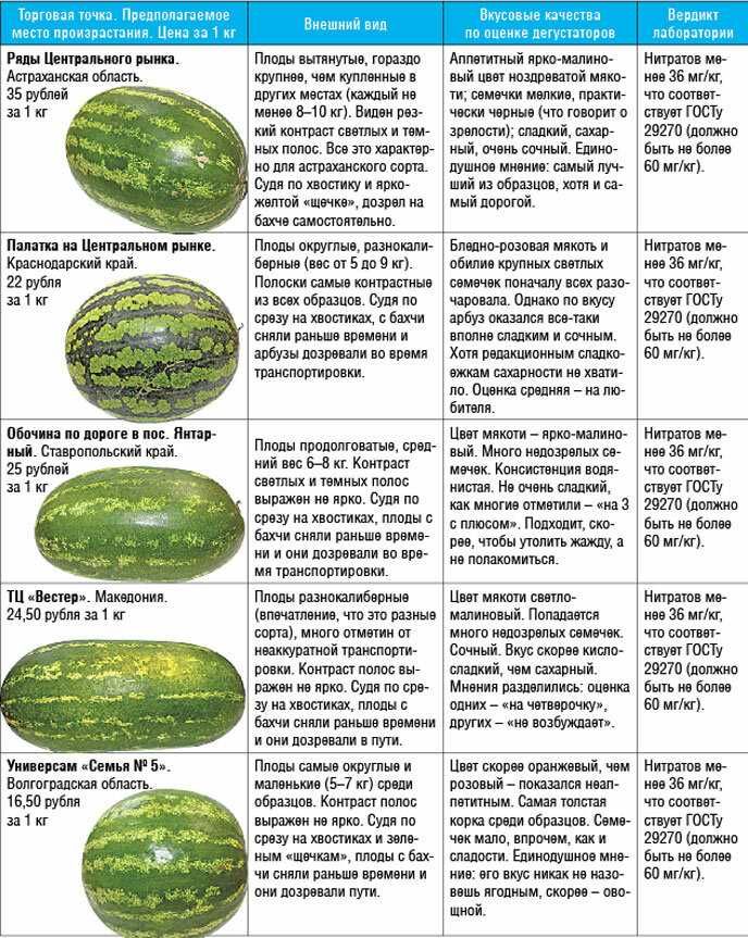 2. Регулярная поливка и мульчирование