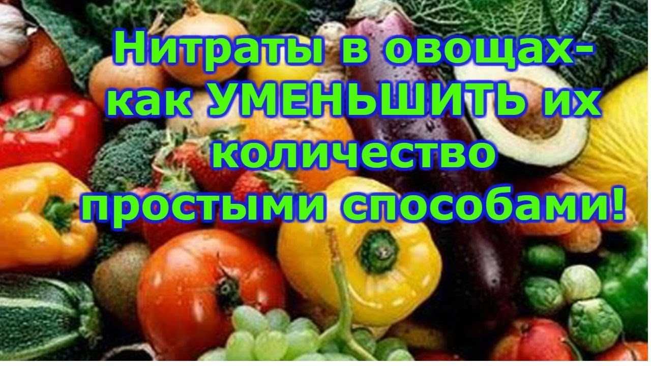 Разнообразие культурных растений