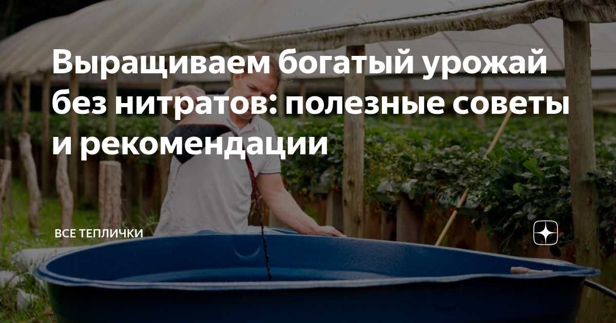 9 рекомендаций, как вырастить хороший урожай без нитратов