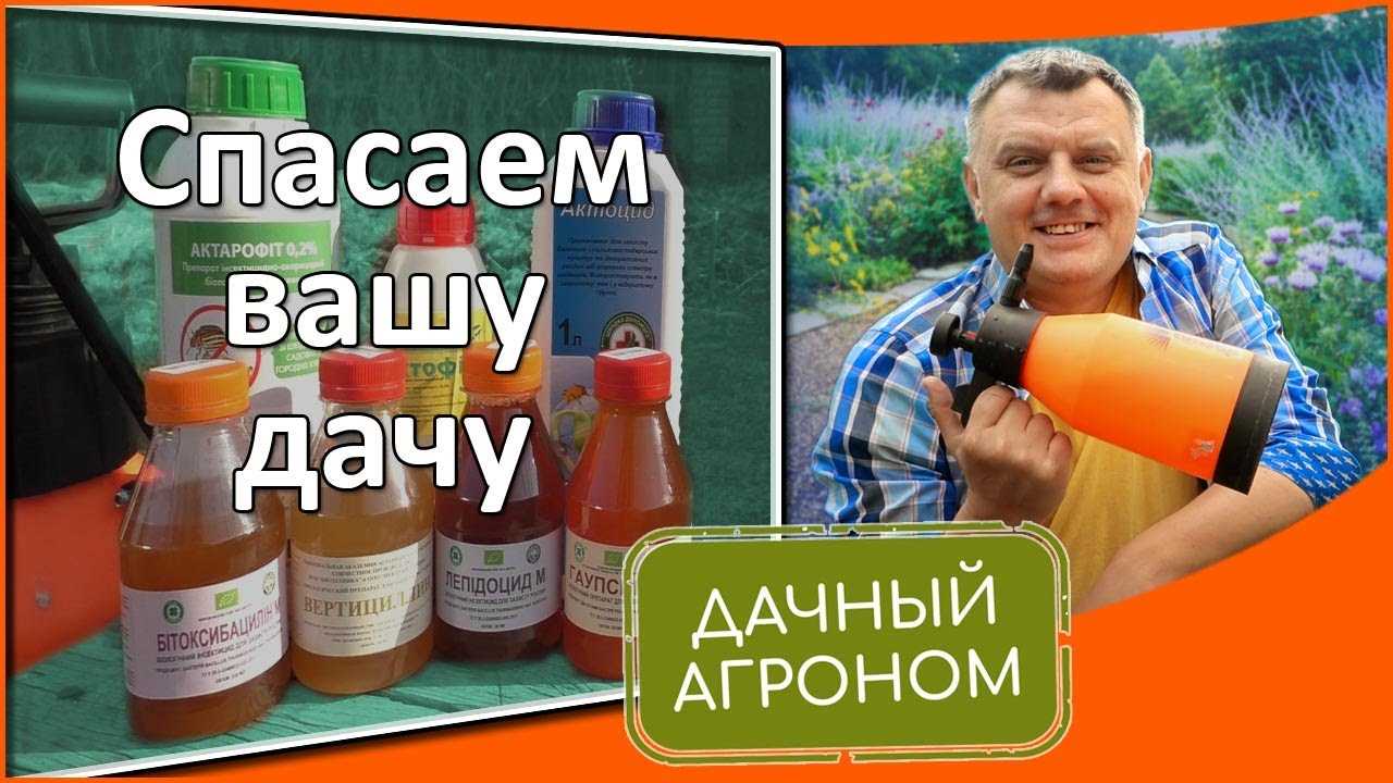 Дачный агроном ютуб