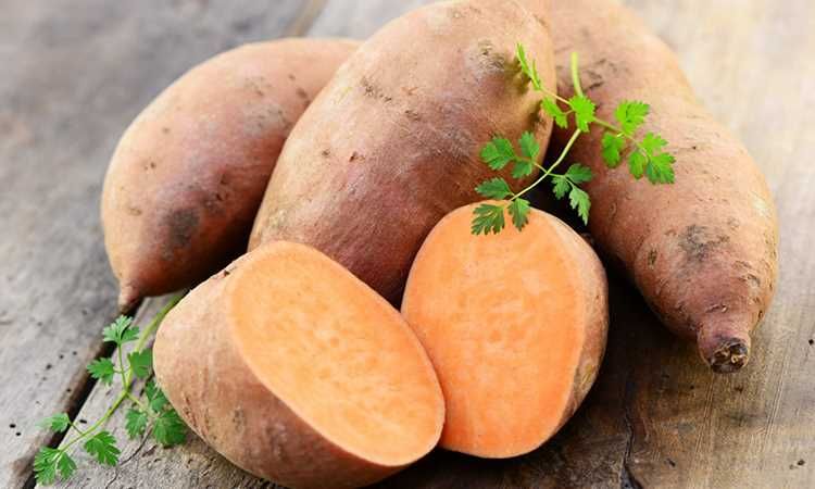 Батат – вкусная и выгодная альтернатива картофелю