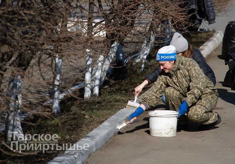 Можно ли осветлять деревья самостоятельно?