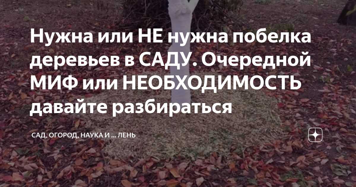 Мифы о необходимости осветления деревьев