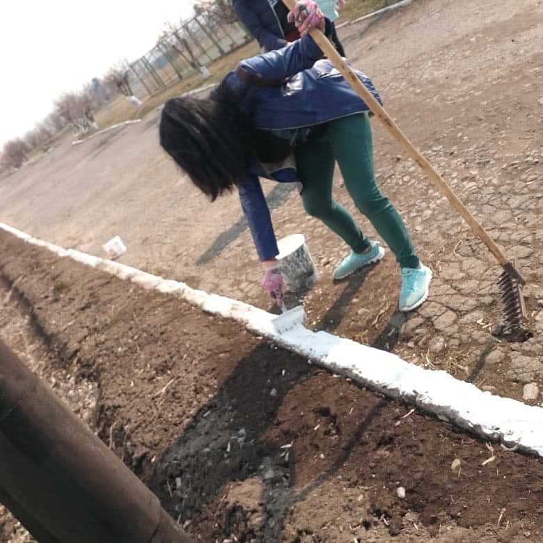 Осветление деревьев: мифы и реальность