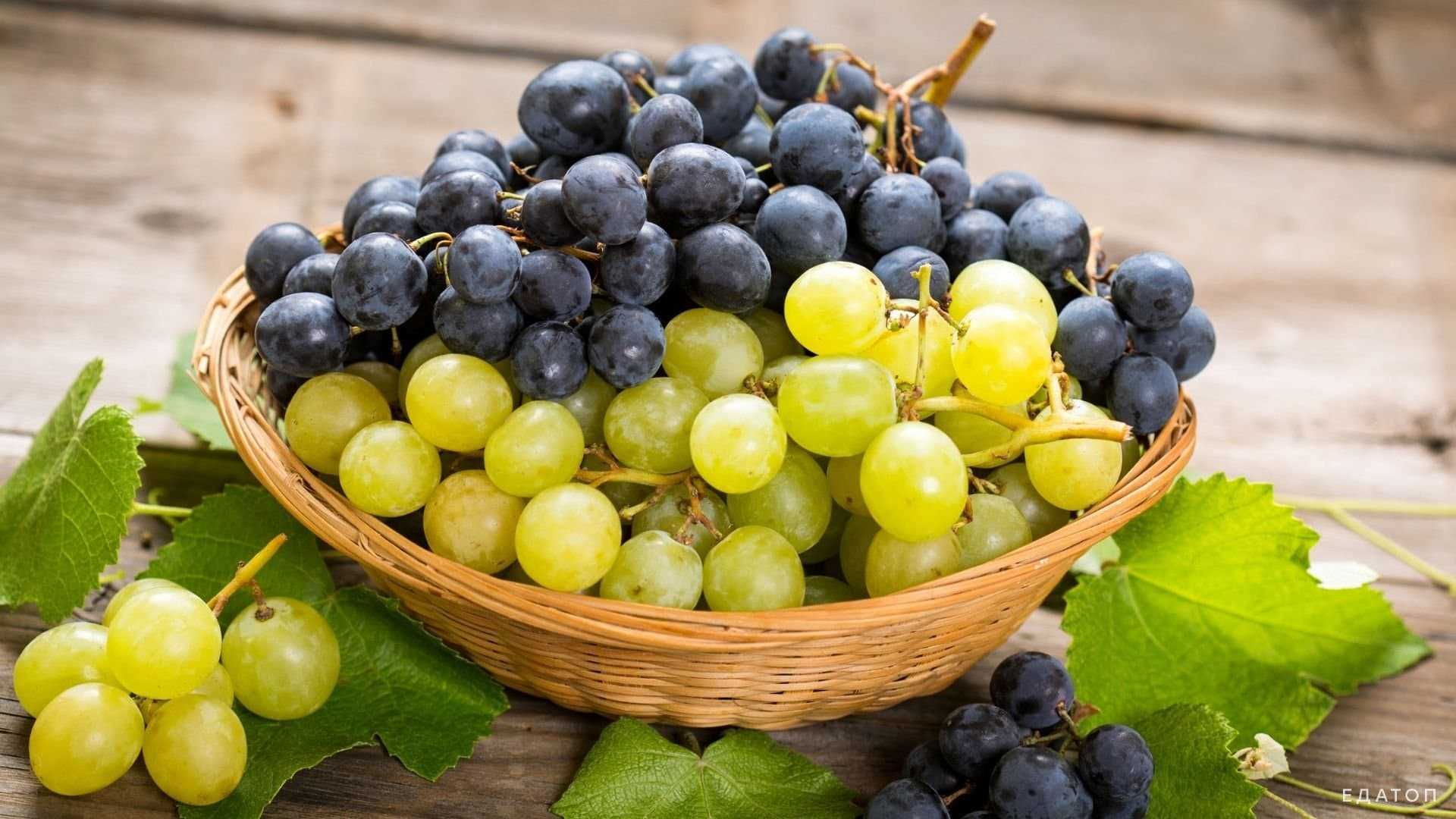 Виноградный сок и его высокое содержание полезных веществ