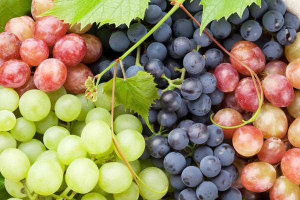 Витамины и микроэлементы в листьях винограда