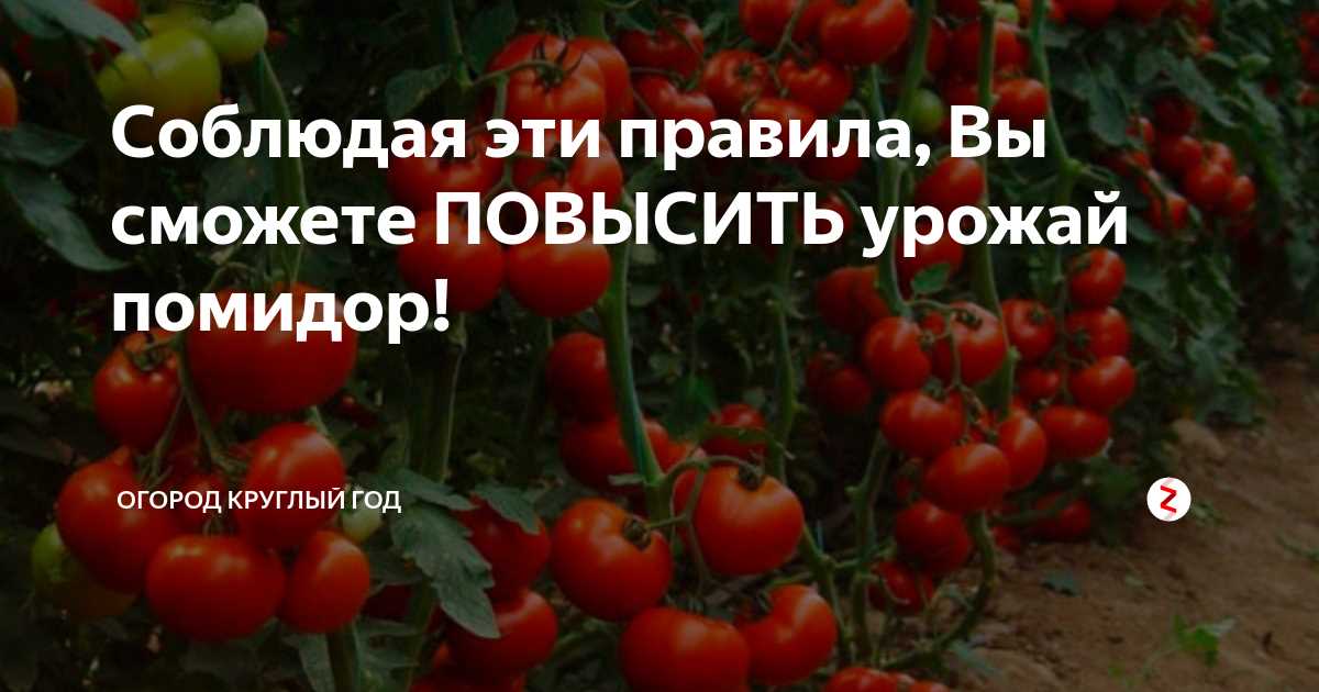 Как сделать правильную посадку?