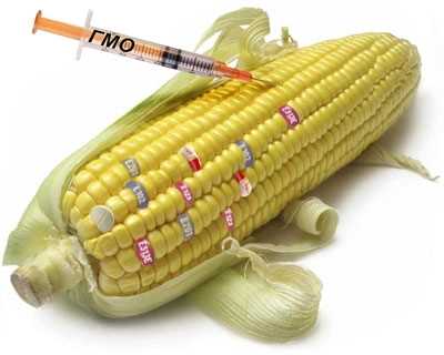 Отличия ГМО от гибридных овощей