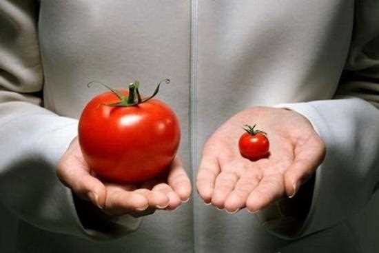 Преимущества и недостатки ГМО