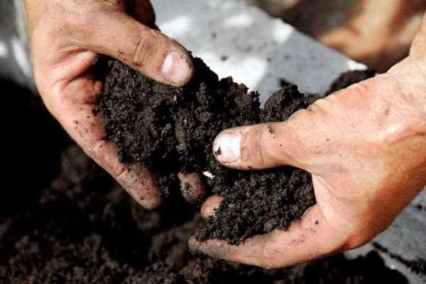 Повышение устойчивости почвы к засухе и неблагоприятным условиям