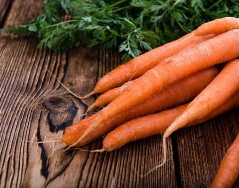 Как выбрать подходящий сорт моркови для осеннего посева
