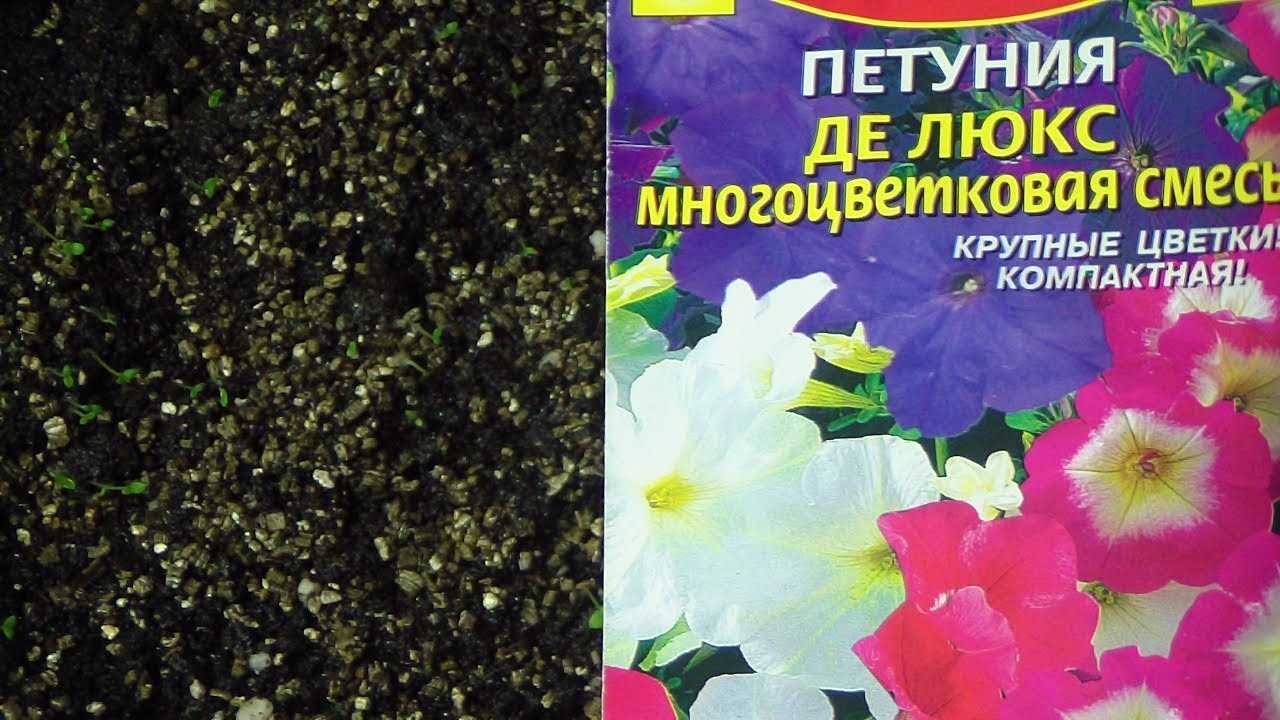 Вклад эксперимента в научное сообщество и сельское хозяйство