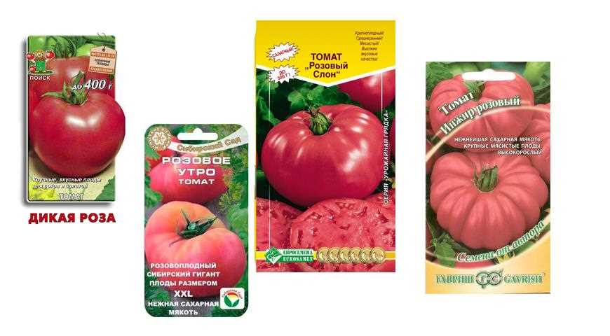 Производство и выращивание розовых томатов