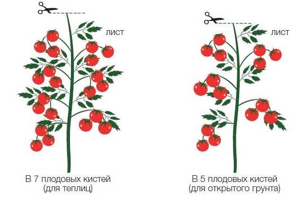 Что такое пасынкование и зачем оно нужно?