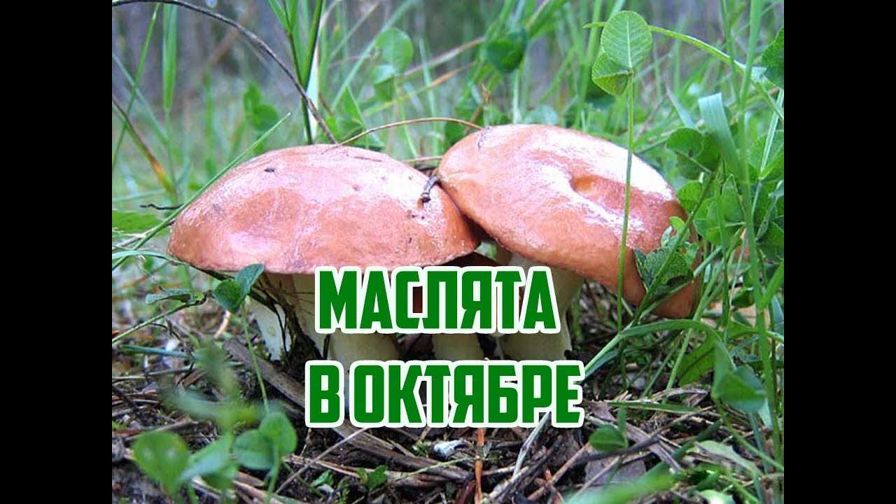 Малоизвестные населенные пункты