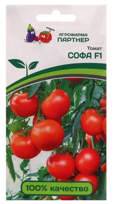 Идеальные условия для выращивания гибридного томата Софа