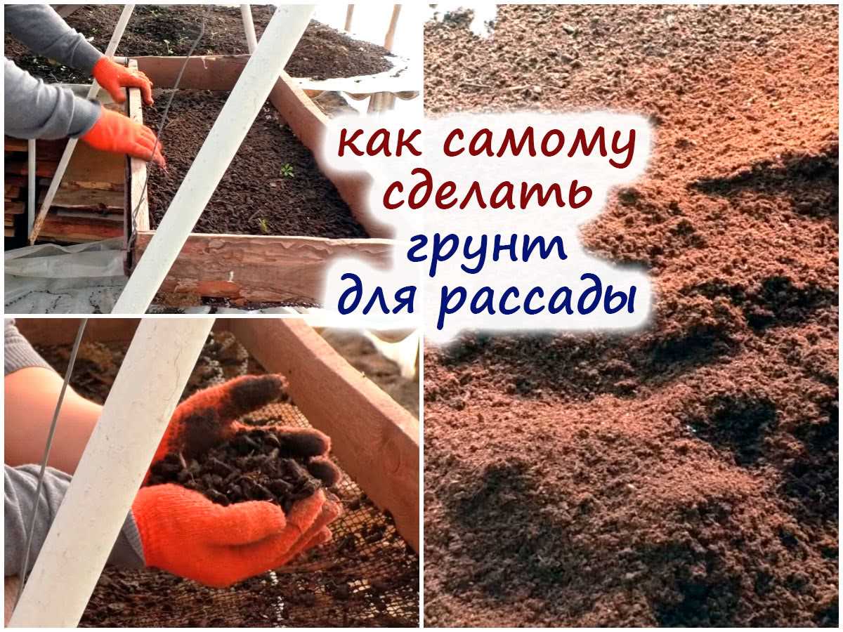 Почему мелкий грунт необходим для успешной рассады