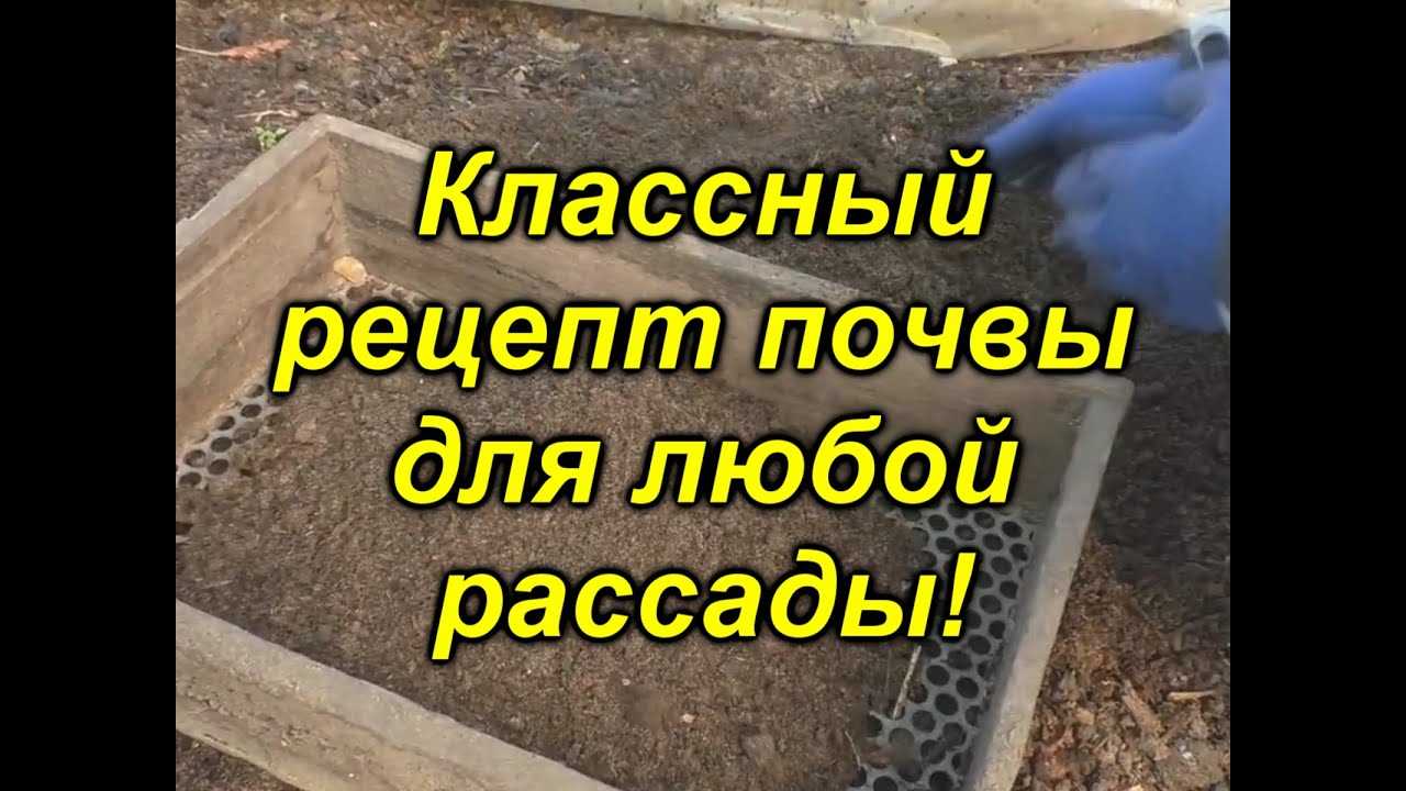 Лучший рецепт для приготовления грунта: