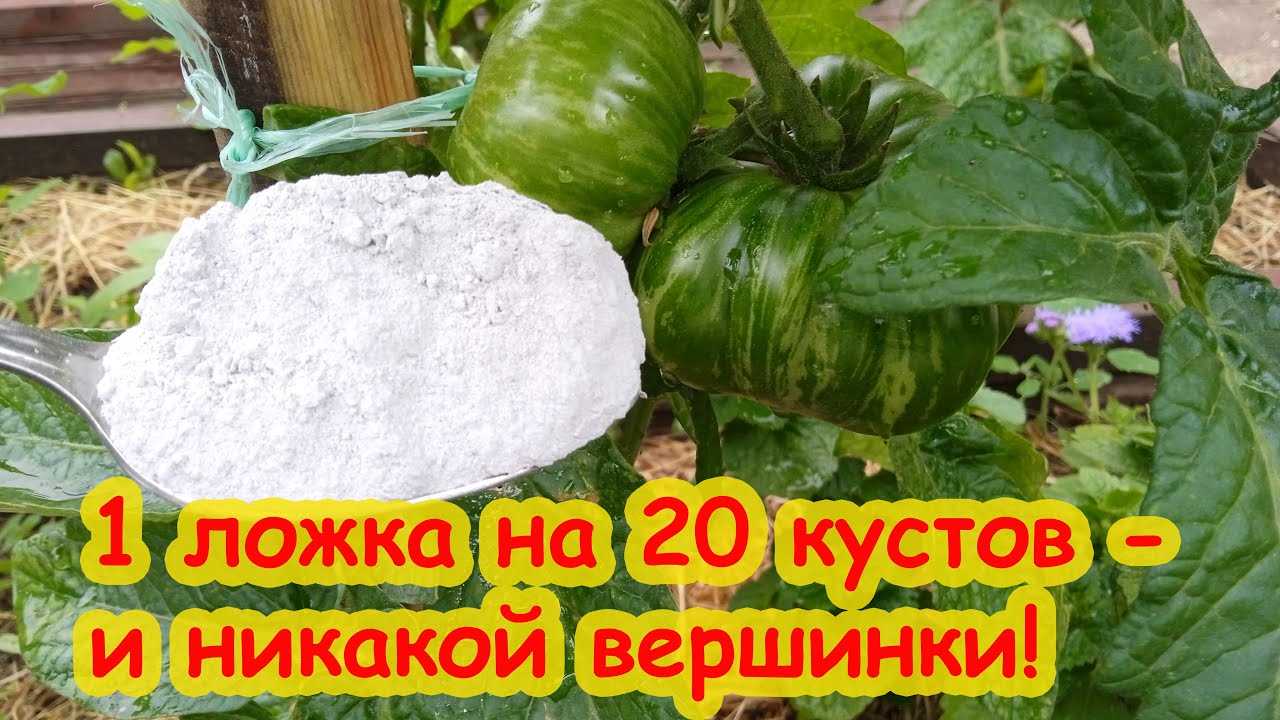 Какой кальций выбрать