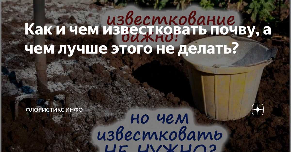 Методы известкования почвы