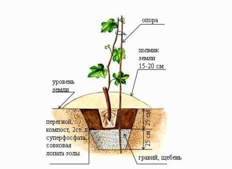 2. Ориентация узлов