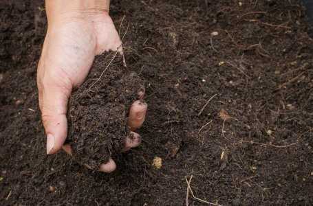 Периодическая проверка и обновление состояния почвы