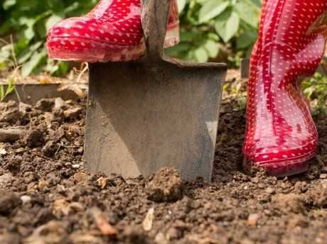 Как повысить урожайность почвы в 2-3 раза – простые секреты матерых огородников!