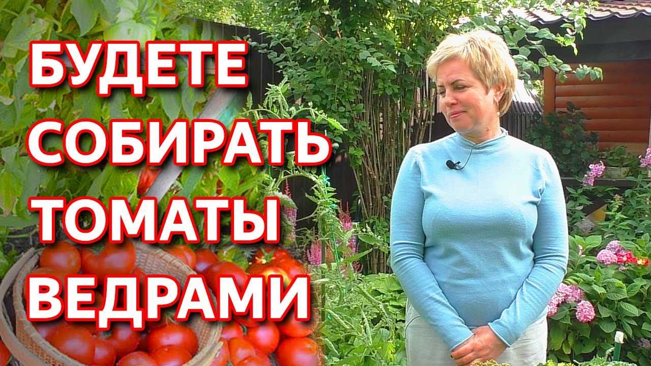 Правила полива и подкормки